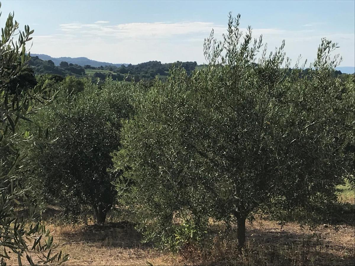 Gite Au Coeur Du Pays Cathare Verzeille Eksteriør billede